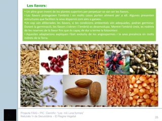 Les llavors:
   • Un altre gran invent de les plantes superiors per perpetuar-se van ser les llavors.
   • Les llavors protegeixen l’embrió i en molts casos porten aliment per a ell. Algunes presenten
   estructures que faciliten la seva dispersió com ales o ganxos.
   •Un cop són alliberades les llavors, si les condicions ambientals són adequades, podran germinar.
   Durant la germinació, les llavors s'obren i l'embrió es desenvolupa. Mentre l'embrió creix, es nodreix
   de les reserves de la llavor fins que és capaç de dur a terme la fotosíntesi.
   • Aquestes adaptacions expliquen l’èxit evolutiu de les angiospermes i la seva presència en molts
   indrets de la Terra.




Projecte FAIG - PIC Científic: “Les mil i una formes”
Naturals 1r de Secundària - El Regne Vegetal                                                                25
 