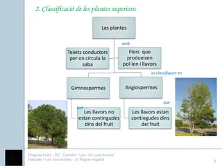 2. Classificació de les plantes superiors:

                                            Les plantes

                     ...