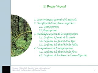 El Regne Vegetal



                             1. Característiques generals dels vegetals.
                             2. Classificació de les plantes superiors:
                                  2.1. Gimnospermes.
                                  2.2 Angiospermes.
                             3. Morfologia externa de les angiospermes.
                                  3.1. La forma i funció de les arrels.
                                  3.2. La forma i la funció de la tija.
                                  3.3. La forma i la funció de les fulles.
                             4. La reproducció de les angiospermes.
                                  4.1. La forma i la funció de les flors.
                                  4.2. La forma de les llavors i la seva dispersió.



Projecte FAIG - PIC Científic: “Les mil i una formes”
Naturals 1r de Secundària - El Regne Vegetal                                          1
 