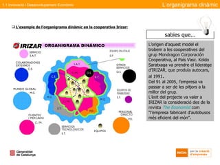L’origen d’aquest model el trobem a les cooperatives del grup Mondragon Corporación Cooperativa, al País Vasc. Koldo Saratxaga va prendre el lideratge d’IRIZAR, que produïa autocars, al 1991 .  Del 91 al 2005, l’empresa va passar a ser de les pitjors a la millor del grup.  L’èxit del projecte va valer a IRIZAR la consideració des de la revista  The Economist   com “l’empresa fabricant d’autobusos més eficient del món”.  L’exemple de l’organigrama dinàmic en la cooperativa Irizar: L’organigrama dinàmic 1.1 Innovació i Desenvolupament Econòmic sabies que... 