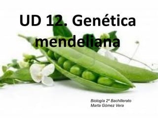 UD 12. Genética
mendeliana
Biología 2º Bachillerato
Marta Gómez Vera
 