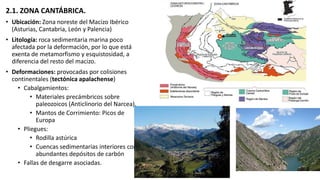 2.1. ZONA CANTÁBRICA.
• Ubicación: Zona noreste del Macizo Ibérico
(Asturias, Cantabria, León y Palencia)
• Litología: roca sedimentaria marina poco
afectada por la deformación, por lo que está
exenta de metamorfismo y esquistosidad, a
diferencia del resto del macizo.
• Deformaciones: provocadas por colisiones
continentales (tectónica apalachense)
• Cabalgamientos:
• Materiales precámbricos sobre
paleozoicos (Anticlinorio del Narcea).
• Mantos de Corrimiento: Picos de
Europa
• Pliegues:
• Rodilla astúrica
• Cuencas sedimentarias interiores con
abundantes depósitos de carbón
• Fallas de desgarre asociadas.
 