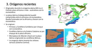 3. Orógenos recientes
• Originados durante la orogenia alpina (60 m.a.):
Colisión placa africana e indo - australiana con la
euroasiática.
• La placa ibérica (independiente) quedó
comprimida entre la africana y la euroasiática.
Queda fusionada con la africana y chocan con la
euroasiática.
• Se originan:
• Pirineos y Cordillera Cantábrica por choque
con euroasiática.
• Cordillera Ibérica y la Costero Catalana se por
empuje de la placa africana.
• Microplaca de Alborán chocó con la placa
ibérica originando las cordilleras Béticas.
• La orogenia alpina levanta los relieves
variscos (Sistema Central)
 