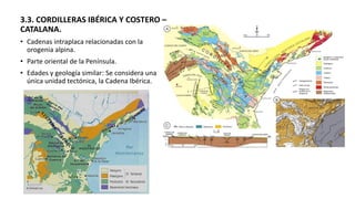 3.3. CORDILLERAS IBÉRICA Y COSTERO –
CATALANA.
• Cadenas intraplaca relacionadas con la
orogenia alpina.
• Parte oriental de la Península.
• Edades y geología similar: Se considera una
única unidad tectónica, la Cadena Ibérica.
 