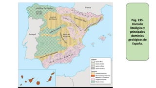 Pág. 235.
División
litológica y
principales
dominios
geológicos de
España.
 