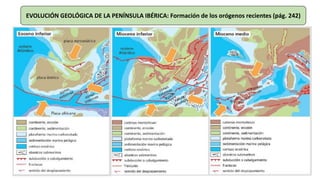 EVOLUCIÓN GEOLÓGICA DE LA PENÍNSULA IBÉRICA: Formación de los orógenos recientes (pág. 242)
 