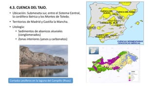 4.3. CUENCA DEL TAJO.
• Ubicación: Submeseta sur, entre el Sistema Central,
la cordillera Ibérica y los Montes de Toledo.
• Territorios de Madrid y Castilla la Mancha.
• Litología:
• Sedimentos de abanicos aluviales
(conglomerados)
• Zonas interiores (yesos y carbonatos)
Cortados yesíferos en la laguna del Campillo (Rivas)
 