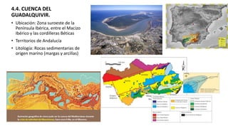 4.4. CUENCA DEL
GUADALQUIVIR.
• Ubicación: Zona suroeste de la
Península Ibérica, entre el Macizo
Ibérico y las cordilleras Béticas
• Territorios de Andalucía
• Litología: Rocas sedimentarias de
origen marino (margas y arcillas)
 