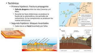 • Tectónica:
• Primera hipótesis: fractura propagante
• Falla de desgarre entre las islas Canarias y el
Atlas.
• Durante las fases distensivas se produce la
fusión de la astenosfera y los periodos de
vulcanismo. En las compresivas se producen las
nuevas estructuras.
• Segunda hipótesis: bloques levantados
• Cada isla es un horst levantado por fallas
inversas
 