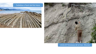 Turbiditas o Flysch del País Vasco
Límite K/T (Caravaca de la Cruz - Murcia)
 