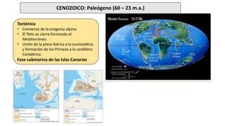 CENOZOICO: Paleógeno (60 – 23 m.a.)
Tectónica
• Comienzo de la orogenia alpina.
• El Tetis se cierra formando el
Mediterráneo.
• Unión de la placa ibérica a la euroasiática
y formación de los Pirineos y la cordillera
Cantábrica.
Fase submarina de las Islas Canarias
 