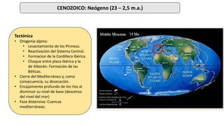 CENOZOICO: Neógeno (23 – 2,5 m.a.)
Tectónica
• Orogenia alpina:
• Levantamiento de los Pirineos.
• Reactivación del Sistema Central.
• Formacion de la Cordillera Ibérica
• Choque entre placa Ibérica y la
de Alborán: Formación de las
Béticas.
• Cierre del Mediterráneo y, como
consecuencia, su desecación.
• Encajamiento profundo de los ríos al
disminuir su nivel de base (descenso
del nivel del mar)
• Fase distensiva: Cuencas
mediterráneas.
 