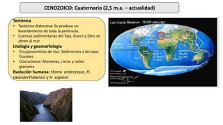 CENOZOICO: Cuaternario (2,5 m.a. – actualidad)
Tectónica
• Tectónica distensiva: Se produce un
levantamiento de toda la península.
• Cuencas sedimentarias del Tajo, Duero y Ebro se
abren al mar.
Litología y geomorfología
• Encajonamiento de ríos: Sedimentos y terrazas
fluviales
• Glaciaciones: Morrenas, circos y valles
glaciares.
Evolución humana: Homo antecessor, H.
neanderthalensis y H. sapiens
 