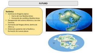FUTURO
Tectónica
• Continúa la Orogenia alpina:
• Cierre del mar Mediterráneo.
• Formación de cordillera Mediterránea
• Desaparición del océano Atlántico y las Islas
Canarias
• Formación de Pangea última: dentro de
250 m.a.
• Distensión posterior de la litosfera y
formación de nuevas placas
 
