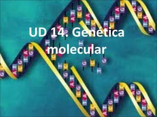 UD 14. Genética
molecular
 