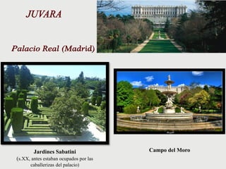 Campo del MoroJardines Sabatini
(s.XX, antes estaban ocupados por las
caballerizas del palacio)
 