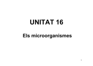 UNITAT 16
Els microorganismes



                      1
 