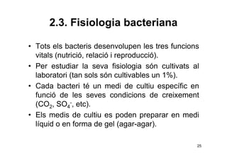 Biologia 2n Batxillerat. UD16. Els microorganismes