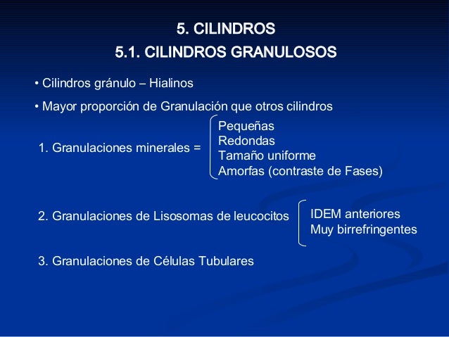 CILINDROS GRANULOSUS EN ORINA EBOOK DOWNLOAD CILINDROS GRANULOSUS EN ORINA EBOOK DOWNLOAD
