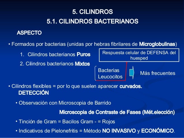 CILINDROS GRANULOSUS EN ORINA EBOOK DOWNLOAD CILINDROS GRANULOSUS EN ORINA EBOOK DOWNLOAD