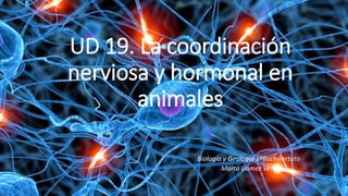 UD 19. La coordinación
nerviosa y hormonal en
animales
Biología y Geología 1ºBachillertato
Marta Gómez Vera
 
