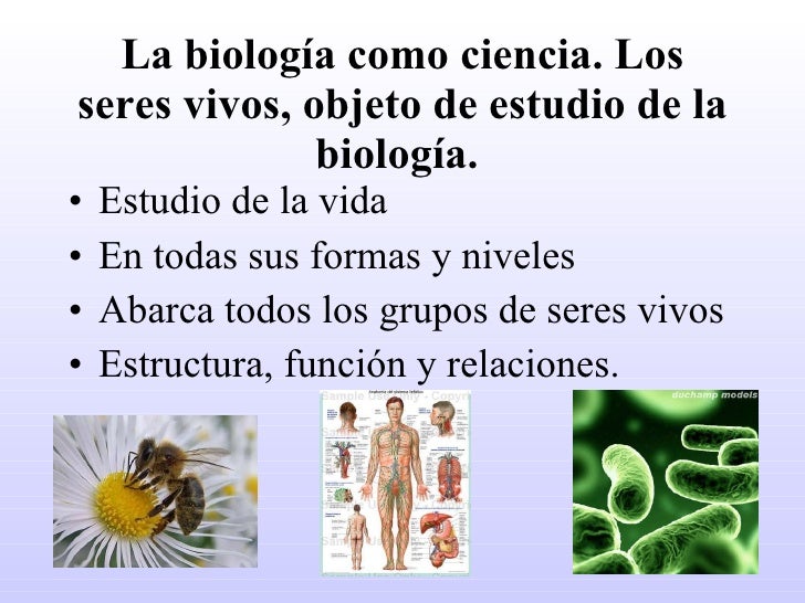 Ud 1 El estudio de los seres vivos