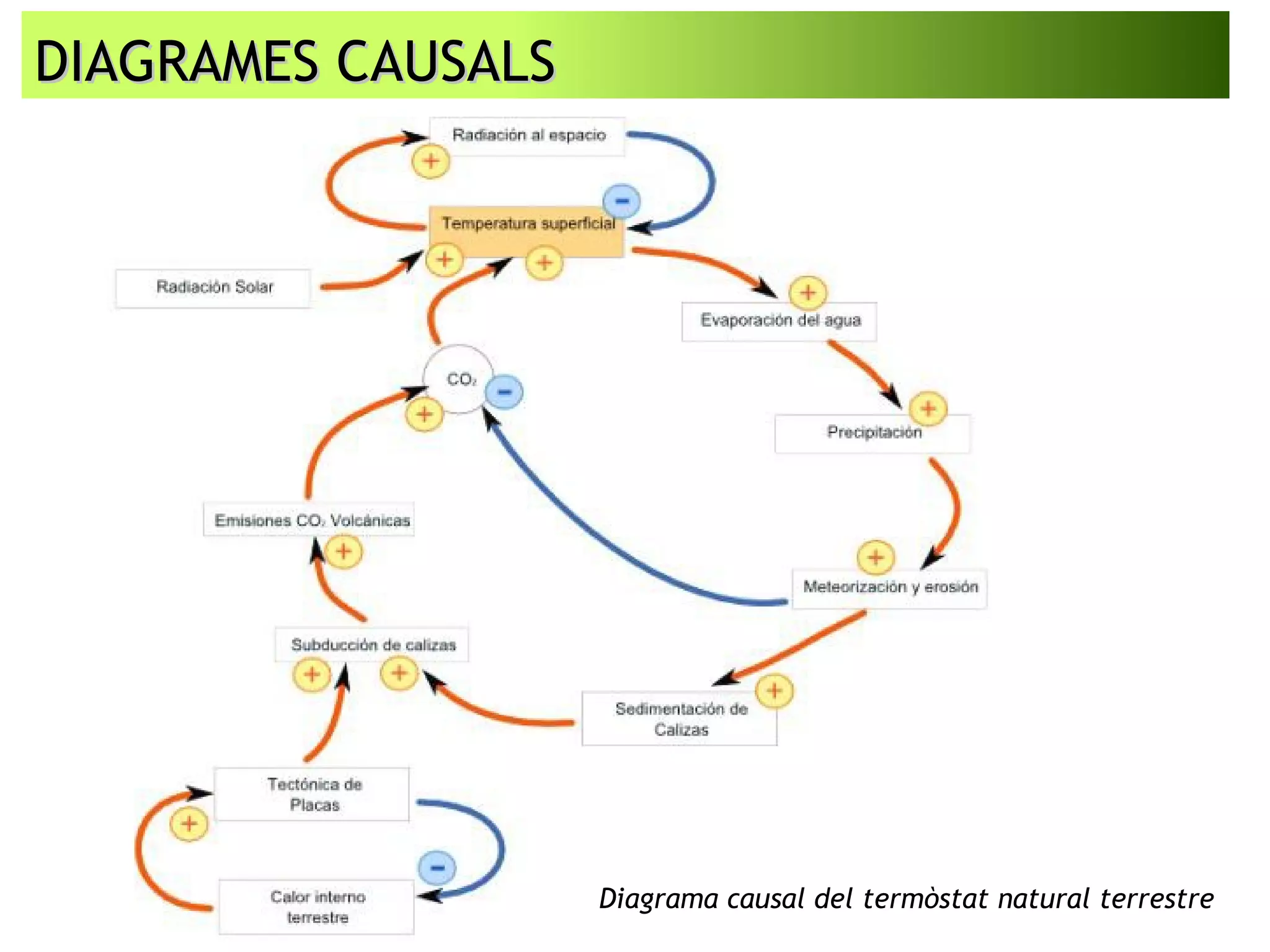 DIAGRAMES CAUSALSDIAGRAMES CAUSALS
Diagrama causal del termòstat natural terrestre
 