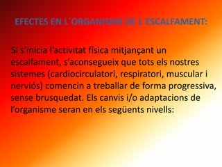 EFECTES EN L´ORGANISME DE L´ESCALFAMENT:
Si s’inicia l’activitat física mitjançant un
escalfament, s’aconsegueix que tots els nostres
sistemes (cardiocirculatori, respiratori, muscular i
nerviós) comencin a treballar de forma progressiva,
sense brusquedat. Els canvis i/o adaptacions de
l’organisme seran en els següents nivells:
 