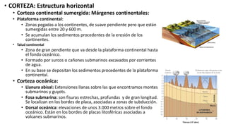 • CORTEZA: Estructura horizontal
• Corteza continental sumergida: Márgenes continentales:
• Plataforma continental:
• Zonas pegadas a los continentes, de suave pendiente pero que están
sumergidas entre 20 y 600 m.
• Se acumulan los sedimentos procedentes de la erosión de los
continentes.
• Talud continental
• Zona de gran pendiente que va desde la plataforma continental hasta
el fondo oceánico.
• Formado por surcos o cañones submarinos excavados por corrientes
de agua.
• En su base se depositan los sedimentos procedentes de la plataforma
continental.
• Corteza oceánica:
• Llanura abisal: Extensiones llanas sobre las que encontramos montes
submarinos y guyots.
• Fosa submarina: son fisuras estrechas, profundas y de gran longitud.
Se localizan en los bordes de placa, asociadas a zonas de subducción.
• Dorsal oceánica: elevaciones de unos 3.000 metros sobre el fondo
oceánico. Están en los bordes de placas litosféricas asociadas a
volcanes submarinos.
 
