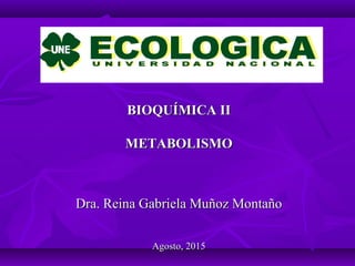 BIOQUÍMICA IIBIOQUÍMICA II
METABOLISMOMETABOLISMO
Dra. Reina Gabriela Muñoz MontañoDra. Reina Gabriela Muñoz Montaño
Agosto, 2015Agosto, 2015
 