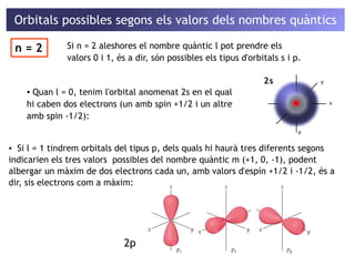 Orbitals possibles segons els valors dels nombres quàntics 
Si n = 2 aleshores el nombre quàntic l pot prendre els 
valors 0 i 1, és a dir, són possibles els tipus d'orbitals s i p. 
n = 2 
▪ Quan l = 0, tenim l'orbital anomenat 2s en el qual 
hi caben dos electrons (un amb spin +1/2 i un altre 
amb spin -1/2): 
▪ Si l = 1 tindrem orbitals del tipus p, dels quals hi haurà tres diferents segons 
indicarien els tres valors possibles del nombre quàntic m (+1, 0, -1), podent 
albergar un màxim de dos electrons cada un, amb valors d'espín +1/2 i -1/2, és a 
dir, sis electrons com a màxim: 
2p 
 