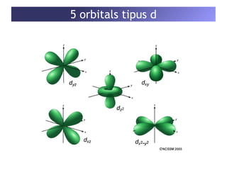 5 orbitals tipus d 
 