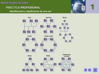 Redes locales de datos

PRÁCTICA PROFESIONAL
Identificación y clasificación de una red

 