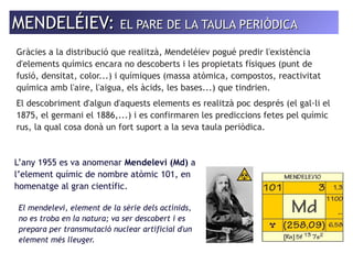 MMEENNDDEELLÉÉIIEEVV: EELL PPAARREE DDEE LLAA TTAAUULLAA PPEERRIIÒÒDDIICCAA 
Gràcies a la distribució que realitzà, Mendeléiev pogué predir l'existència 
d'elements químics encara no descoberts i les propietats físiques (punt de 
fusió, densitat, color...) i químiques (massa atòmica, compostos, reactivitat 
química amb l'aire, l'aigua, els àcids, les bases...) que tindrien. 
El descobriment d'algun d'aquests elements es realitzà poc després (el gal·li el 
1875, el germani el 1886,...) i es confirmaren les prediccions fetes pel químic 
rus, la qual cosa donà un fort suport a la seva taula periòdica. 
L’any 1955 es va anomenar Mendelevi (Md) a 
l’element químic de nombre atòmic 101, en 
homenatge al gran científic. 
El mendelevi, element de la sèrie dels actínids, 
no es troba en la natura; va ser descobert i es 
prepara per transmutació nuclear artificial d'un 
element més lleuger. 
 