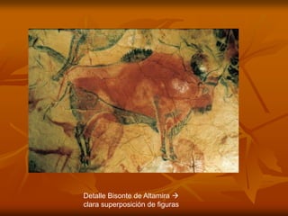 Detalle Bisonte de Altamira  clara superposición de figuras  