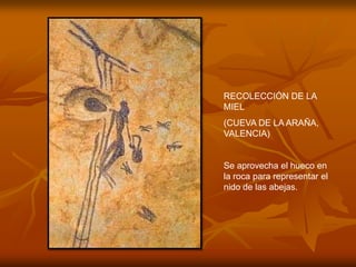 RECOLECCIÓN DE LA MIEL 
(CUEVA DE LA ARAÑA, VALENCIA) 
Se aprovecha el hueco en la roca para representar el nido de las abejas.  