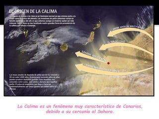 La Calima es un fenómeno muy característico de Canarias,
debido a su cercanía al Sahara.
 
