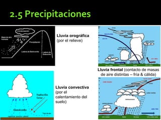 Lluvia orográfica
(por el relieve)
Lluvia convectiva
(por el
calentamiento del
suelo)
Lluvia frontal (contacto de masas
de aire distintas – fría & cálida)
 