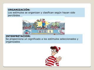 ORGANIZACIÓN:
Los estímulos se organizan y clasifican según hayan sido
percibidos
INTERPRETACIÓN:
Se proporciona un significado a los estímulos seleccionados y
organizados
 