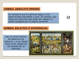 UMBRAL ABSOLUTO MÍNIMOUMBRAL ABSOLUTO MÍNIMO
UMBRAL RELATIVO O DIFERENCIALUMBRAL RELATIVO O DIFERENCIAL
Es necesario que el estímulo llegue a una
determinada intensidad o nivel, de manera, que
todos los estímulos que estén por debajo no
serán recogidos por el órgano sensorial.
Es necesario que el estímulo llegue a una
determinada intensidad o nivel, de manera, que
todos los estímulos que estén por debajo no
serán recogidos por el órgano sensorial.
Hay un nivel máximo
de detección de
estímulo, y si se rebasa
dicho nivel, dejará de
ser sentido por el
individuo
Hay un nivel máximo
de detección de
estímulo, y si se rebasa
dicho nivel, dejará de
ser sentido por el
individuo
 