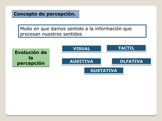 Concepto de percepción.Concepto de percepción.
Modo en que damos sentido a la información que
procesan nuestros sentidos
Evolución de
la
percepción
Evolución de
la
percepción
VISUALVISUAL
AUDITIVAAUDITIVA
TACTILTACTIL
OLFATIVAOLFATIVA
GUSTATIVAGUSTATIVA
 