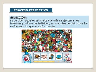 PROCESO PERCEPTIVOPROCESO PERCEPTIVO
SELECCIÓN:
se perciben aquellos estímulos que más se ajustan a los
intereses y valores del individuo, es imposible percibir todos los
estímulos a los que se está expuesto
 