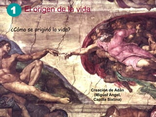1 El origen de la vida
¿Cómo se originó la vida?




                            Creación de Adán
                             (Miguel Ángel,
                             Capilla Sixtina)
 