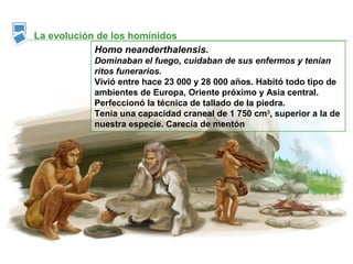 La evolución de los homínidos
            Homo neanderthalensis.
           Dominaban el fuego, cuidaban de sus enfermos y tenían
           ritos funerarios.
           Vivió entre hace 23 000 y 28 000 años. Habitó todo tipo de
           ambientes de Europa, Oriente próximo y Asia central.
           Perfeccionó la técnica de tallado de la piedra.
           Tenía una capacidad craneal de 1 750 cm3, superior a la de
           nuestra especie. Carecía de mentón
 