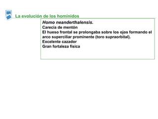 La evolución de los homínidos
            Homo neanderthalensis.
           Carecía de mentón
           El hueso frontal se prolongaba sobre los ojos formando el
           arco superciliar prominente (toro supraorbital).
           Excelente cazador
           Gran fortaleza física
 