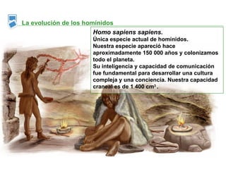 La evolución de los homínidos
                       Homo sapiens sapiens.
                      Única especie actual de homínidos.
                      Nuestra especie apareció hace
                      aproximadamente 150 000 años y colonizamos
                      todo el planeta.
                      Su inteligencia y capacidad de comunicación
                      fue fundamental para desarrollar una cultura
                      compleja y una conciencia. Nuestra capacidad
                      craneal es de 1 400 cm3 .
 
