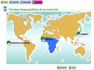 INICIO     ESQUEMA   RECURSOS   INTERNET




         Pruebas biogeográficas de la evolución




                                                                       Japón
                                           África
         América Central




                                                    ANTERIOR   SALIR
 