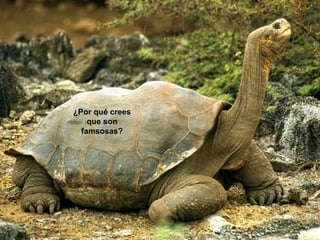 ¿Por qué crees
    que son
  famsosas?
 