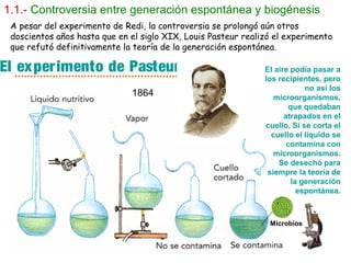 1.1.- Controversia entre generación espontánea y biogénesis
 A pesar del experimento de Redi, la controversia se prolongó aún otros
 doscientos años hasta que en el siglo XIX, Louis Pasteur realizó el experimento
 que refutó definitivamente la teoría de la generación espontánea.

El exper imento de Pasteur                                     El aire podía pasar a
                                                               los recipientes, pero
                                                                            no así los
                              1864                                microorganismos,
                                                                       que quedaban
                                                                     atrapados en el
                                                               cuello. Si se corta el
                                                                 cuello el líquido se
                                                                      contamina con
                                                                  microorganismos.
                                                                   Se desechó para
                                                                siempre la teoría de
                                                                        la generación
                                                                          espontánea.



                                                                Microbios
 