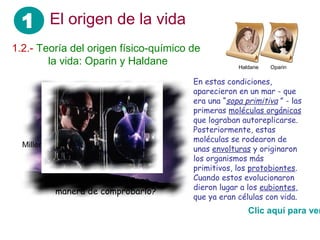 1 El origen de la vida
1.2.- Teoría del origen físico-químico de
 ……. la vida: Oparin y Haldane                     Haldane   Oparin

                                       En estas condiciones,
                                       aparecieron en un mar - que
                                       era una “sopa primitiva ” - las
                                       primeras moléculas orgánicas
                                       que lograban autoreplicarse.
                                       Posteriormente, estas
                                       moléculas se rodearon de
  Miller
                                       unas envolturas y originaron
                                       los organismos más
                                       primitivos, los protobiontes.
            Pero… ¿habría alguna       Cuando estos evolucionaron
                                       dieron lugar a los eubiontes,
           manera de comprobarlo?
                                       que ya eran células con vida.
                                                      Clic aquí para ver
 
